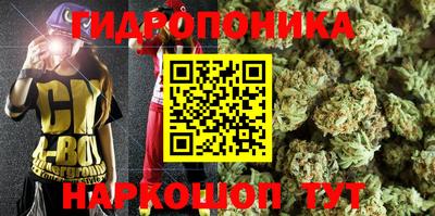 МДПВ Лесосибирск