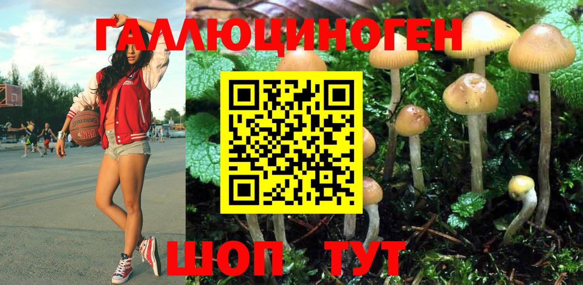 Грязи  Псилоцибиновые грибы мицелий  Вход с VPN  Галлюциногенные грибы мицелий 